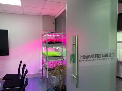 新聞中心的照明設備 科技與藝術的交融，打造專業傳播空間